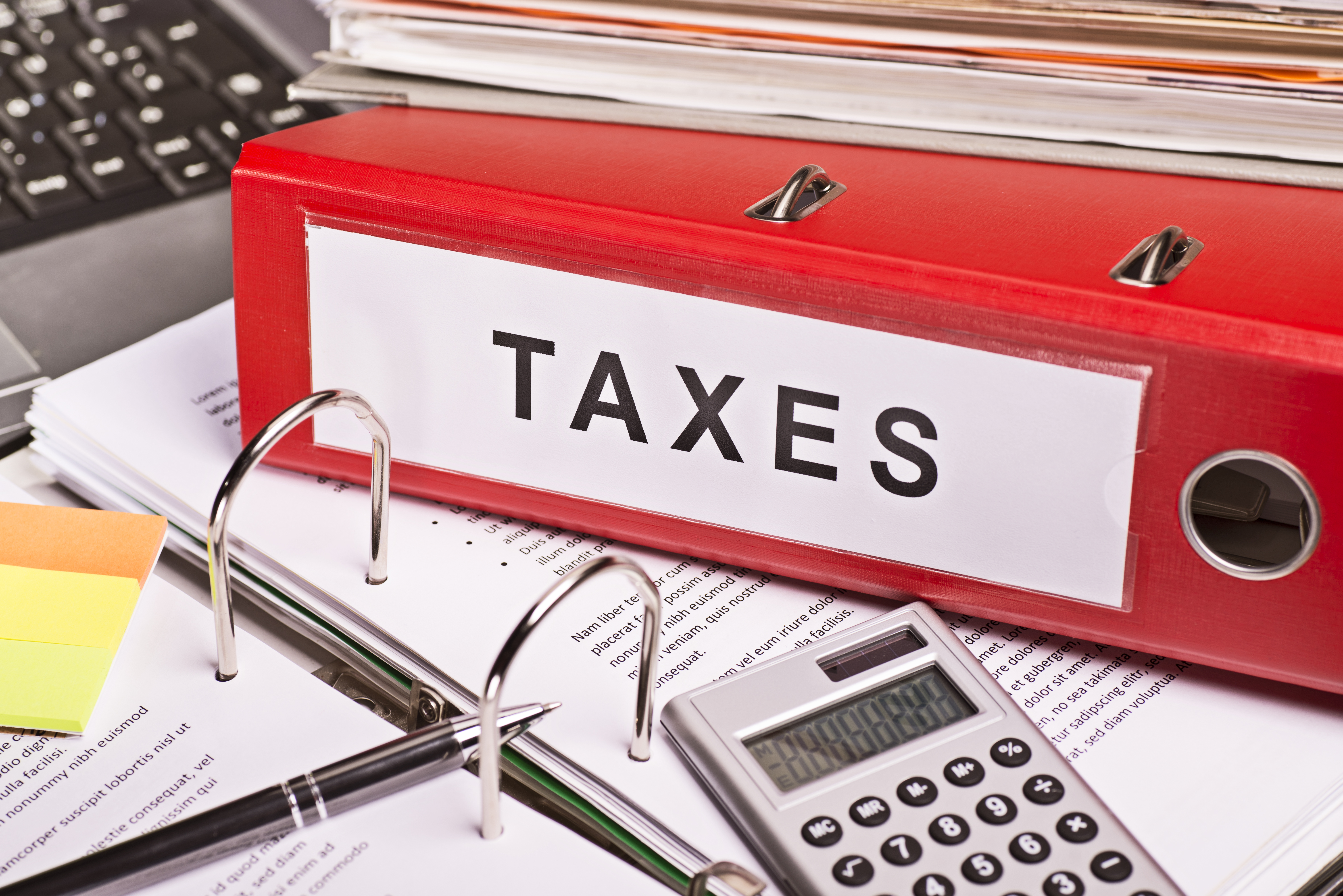Business Income Tax Services 